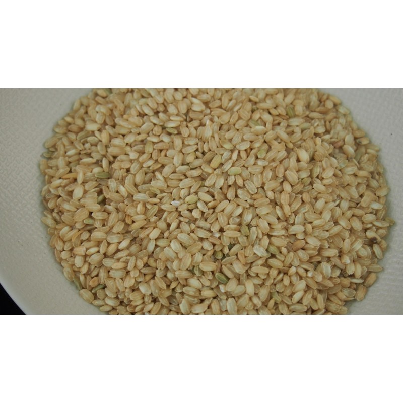 Riz complet long grain