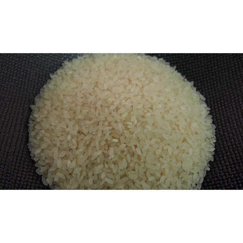 Cuiseur à riz - 0,6L - La Boutique du Japon